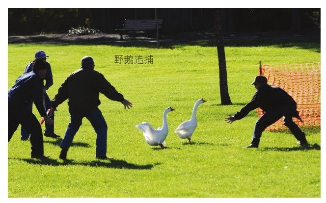 第3章　清晰的思维、批判性思维与清晰的写作 - 图1